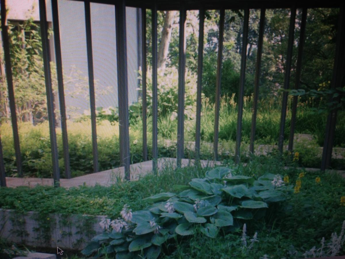 Avliving City Flat Basel With Roof Garden Exterior foto